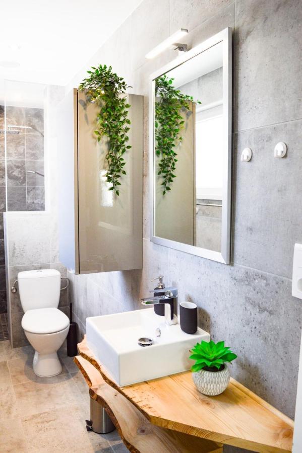 Apartmán Le Blue St Leon : 2 Pieces Cozy Lit King Size Wifi Colmar Exteriér fotografie