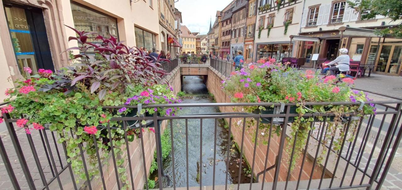 Apartmán Le Blue St Leon : 2 Pieces Cozy Lit King Size Wifi Colmar Exteriér fotografie