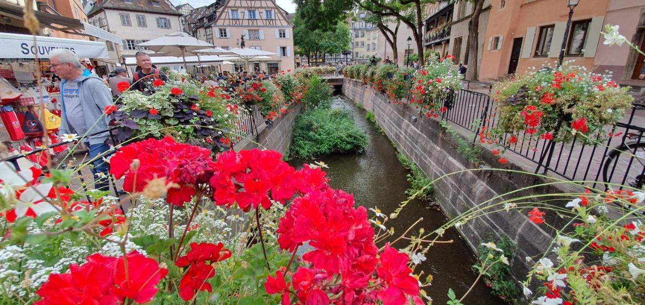 Apartmán Le Blue St Leon : 2 Pieces Cozy Lit King Size Wifi Colmar Exteriér fotografie