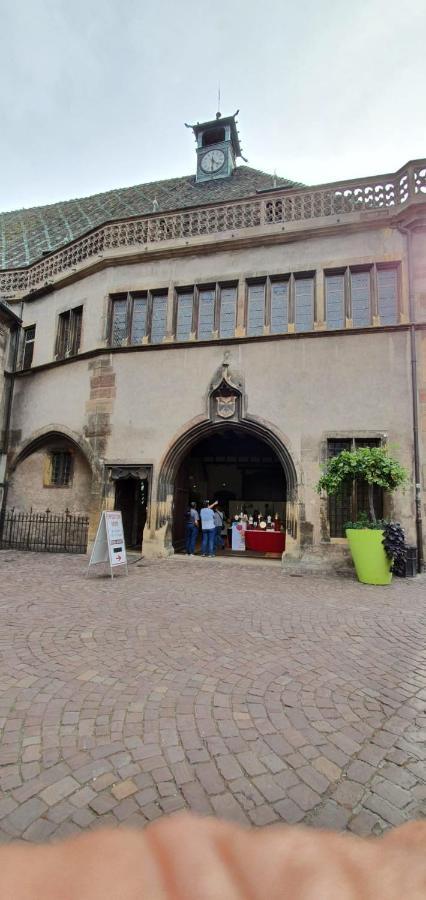 Apartmán Le Blue St Leon : 2 Pieces Cozy Lit King Size Wifi Colmar Exteriér fotografie