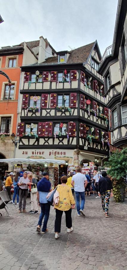 Apartmán Le Blue St Leon : 2 Pieces Cozy Lit King Size Wifi Colmar Exteriér fotografie