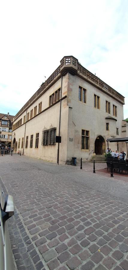 Apartmán Le Blue St Leon : 2 Pieces Cozy Lit King Size Wifi Colmar Exteriér fotografie